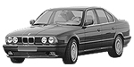 BMW E34 P0080 Fault Code