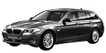 BMW F11 P0080 Fault Code